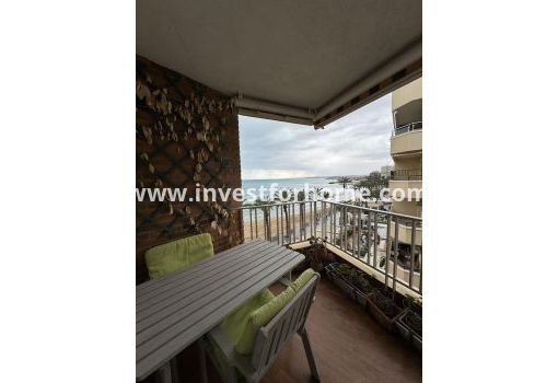 Apartment - Sale - Torrevieja - ND-18967