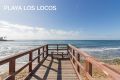 Sale - Apartment - Torrevieja - Playa de los Locos