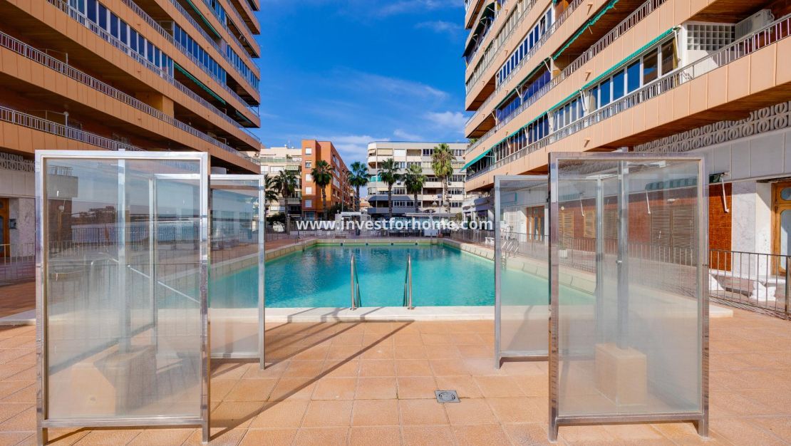 Alquiler a largo plazo - Apartamento - Torrevieja - Playa del Acequión