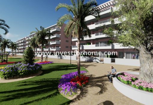 Apartamento - Nueva construcción - Guardamar del Segura - Guardamar del Segura