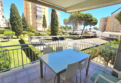 Apartamento - Reventa - Orihuela Costa - Costa Blanca