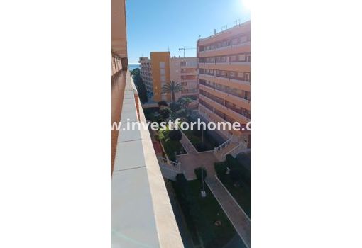 Apartamento - Reventa - Torrevieja - Punta prima