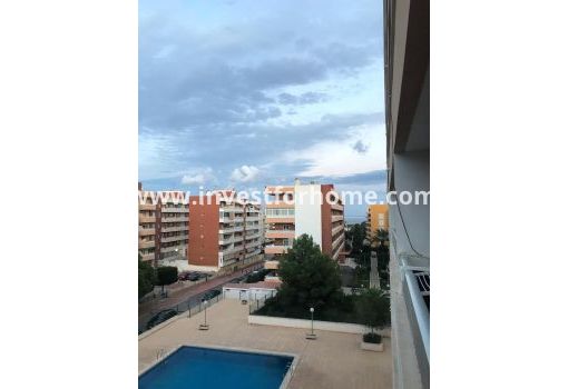 Apartamento - Reventa - Torrevieja - Punta prima