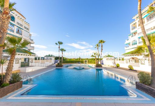 Apartamento - Reventa - Torrevieja - Torrelamata - La Mata