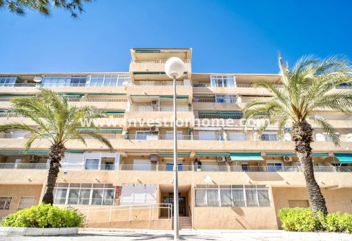 Apartment - Sale - Guardamar del Segura - Costa Blanca