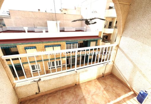 Apartment - Sale - Torrevieja - Playa del Cura