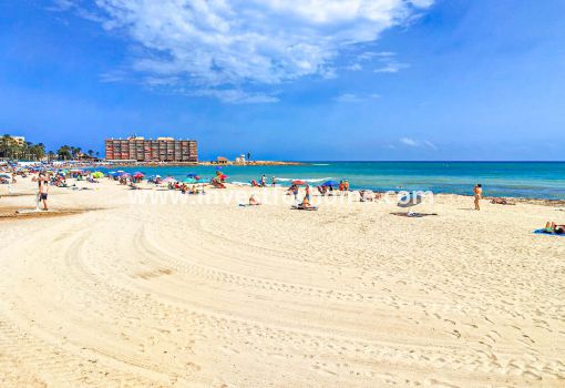 Apartment - Sale - Torrevieja - TO-CE-A18