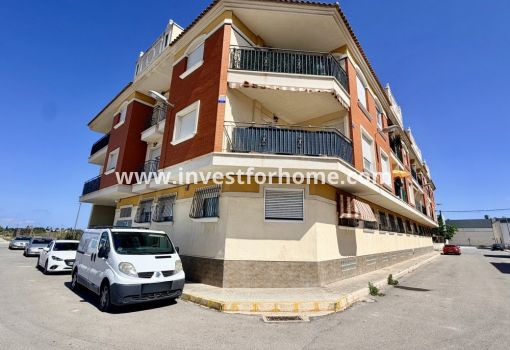 Appartement - Vente - Dolores - ND-22713