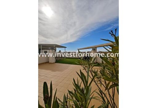Appartement - Verkoop - San Miguel de Salinas - ND-18684