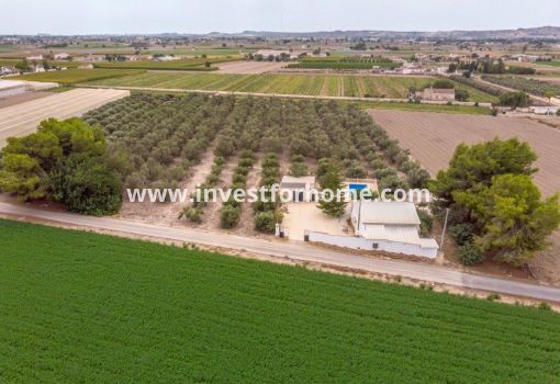 Chalet - Reventa - Dolores - Costa Blanca