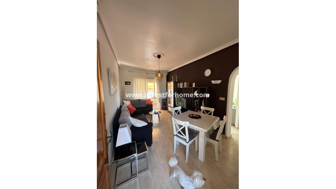 Försäljning - Bungalow - Torrevieja - aguas nuevas
