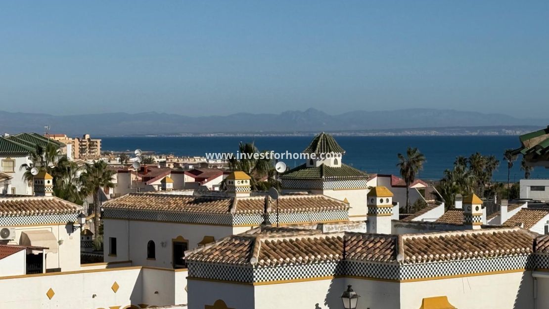 Försäljning - Bungalow - Torrevieja - Cañada Del Molino