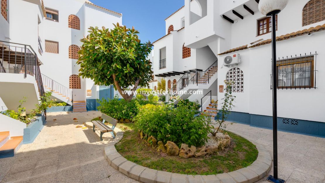 Försäljning - Bungalow - Torrevieja - El Acequión - Los Náufragos