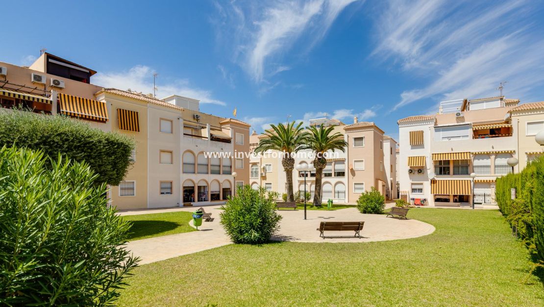 Försäljning - Bungalow - Torrevieja - El Acequión - Los Náufragos