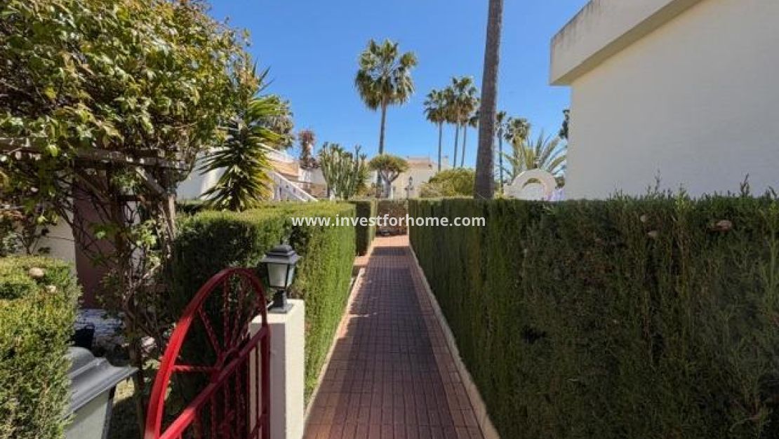 Försäljning - Bungalow - Torrevieja - La Siesta-El Chaparral