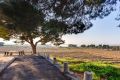 Försäljning - Bungalow - Torrevieja - La Siesta - El Salado - Torreta