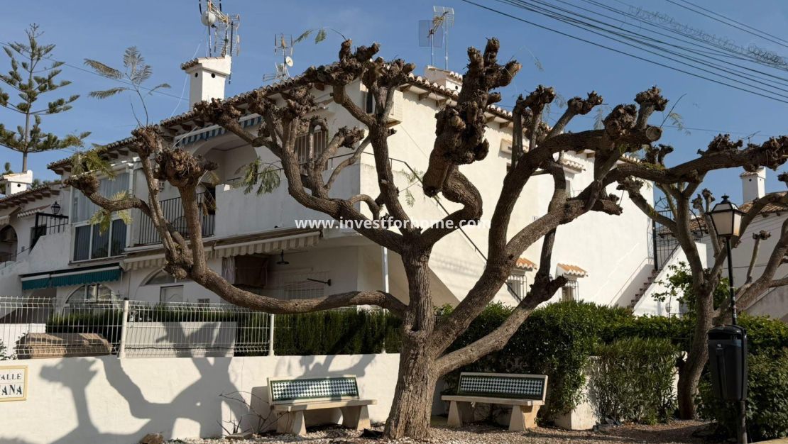 Försäljning - Bungalow - Torrevieja - Los Balcones
