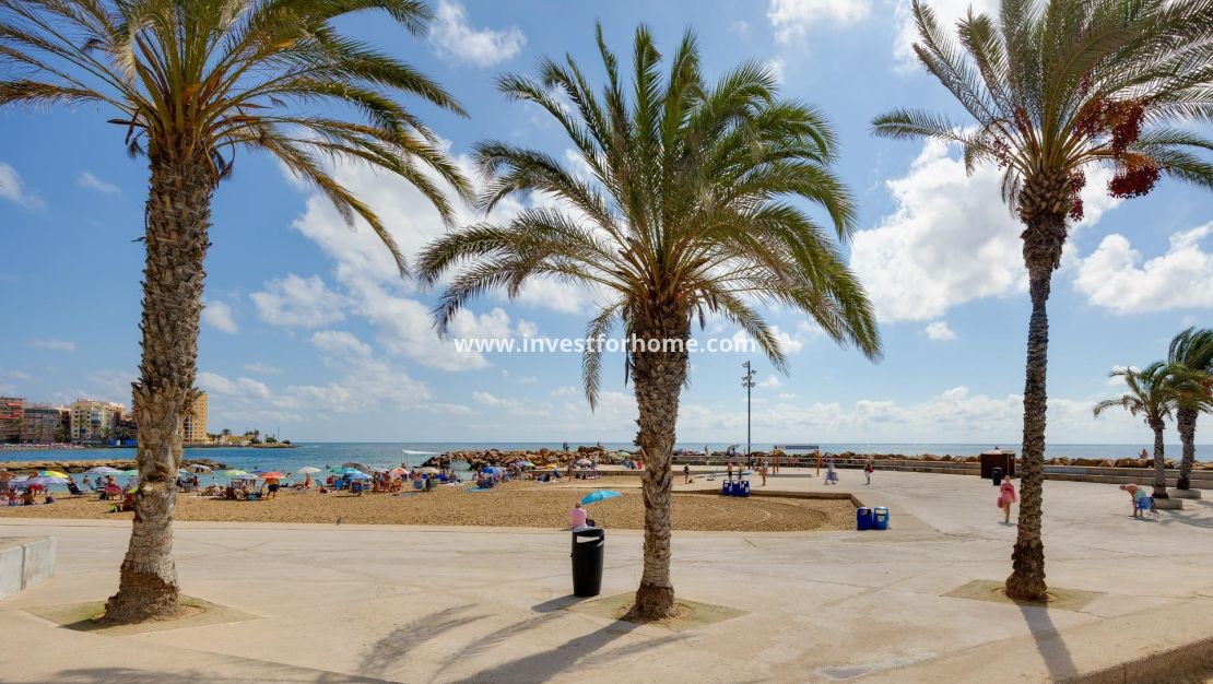Försäljning - Bungalow - Torrevieja - Nueva Torrevieja - Aguas Nuevas