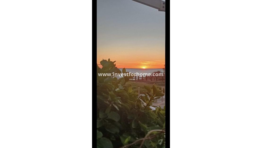 Försäljning - Bungalow - Torrevieja - Torrelamata - La Mata