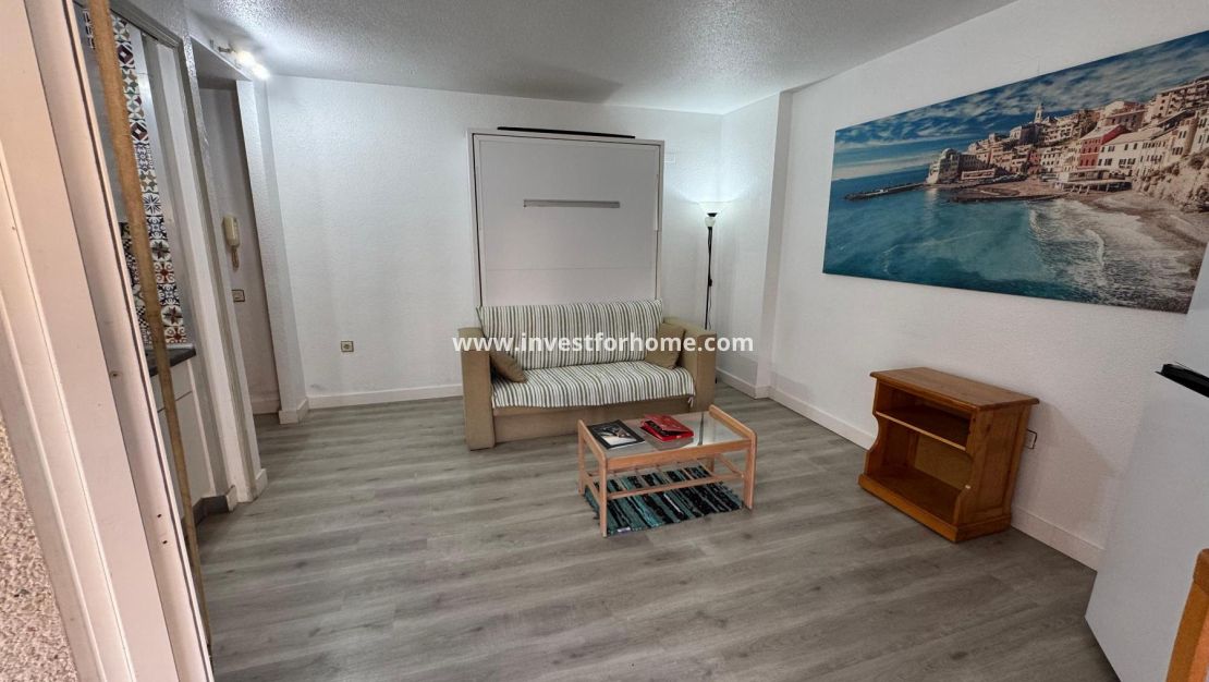 Försäljning - Estudio - Torrevieja - Playa de Los Locos-Curva del Palangre