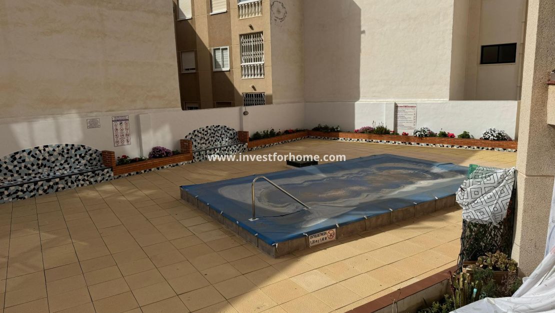 Försäljning - Estudio - Torrevieja - Playa de Los Locos-Curva del Palangre