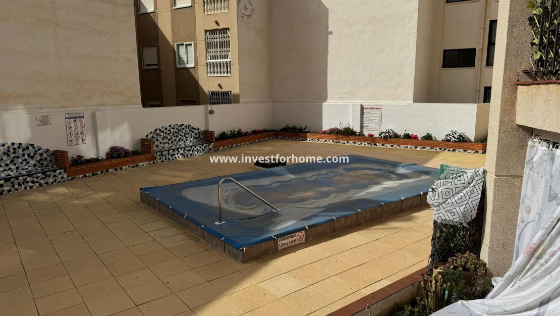 Försäljning - Estudio - Torrevieja - Playa de Los Locos-Curva del Palangre