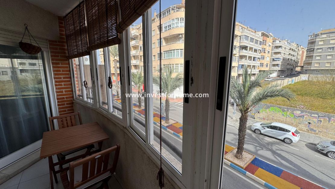 Försäljning - Estudio - Torrevieja - Playa de Los Locos-Curva del Palangre