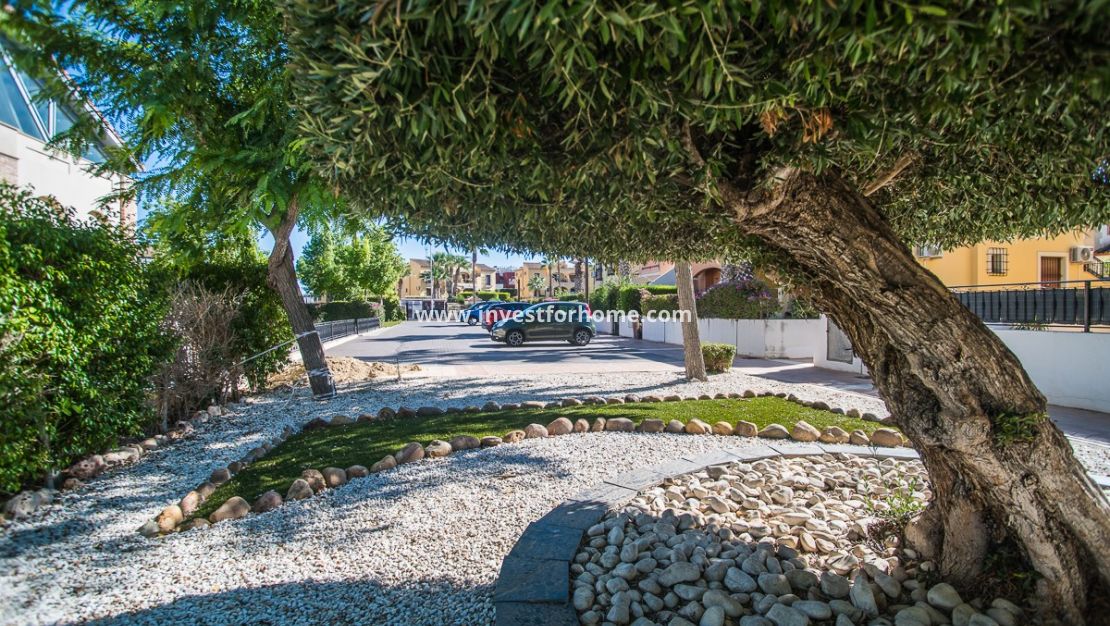 Försäljning - Hus - Algorfa