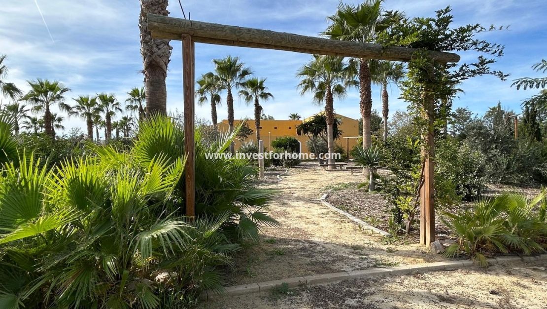 Försäljning - Hus - Dolores - Costa Blanca