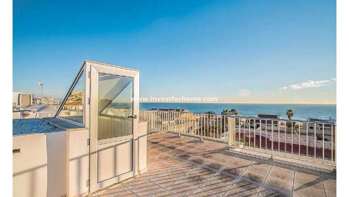 Försäljning - Hus - Guardamar del Segura - Costa Blanca