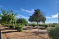 Försäljning - Hus - Los Montesinos - Los Montesinos - Urb. La Herrada