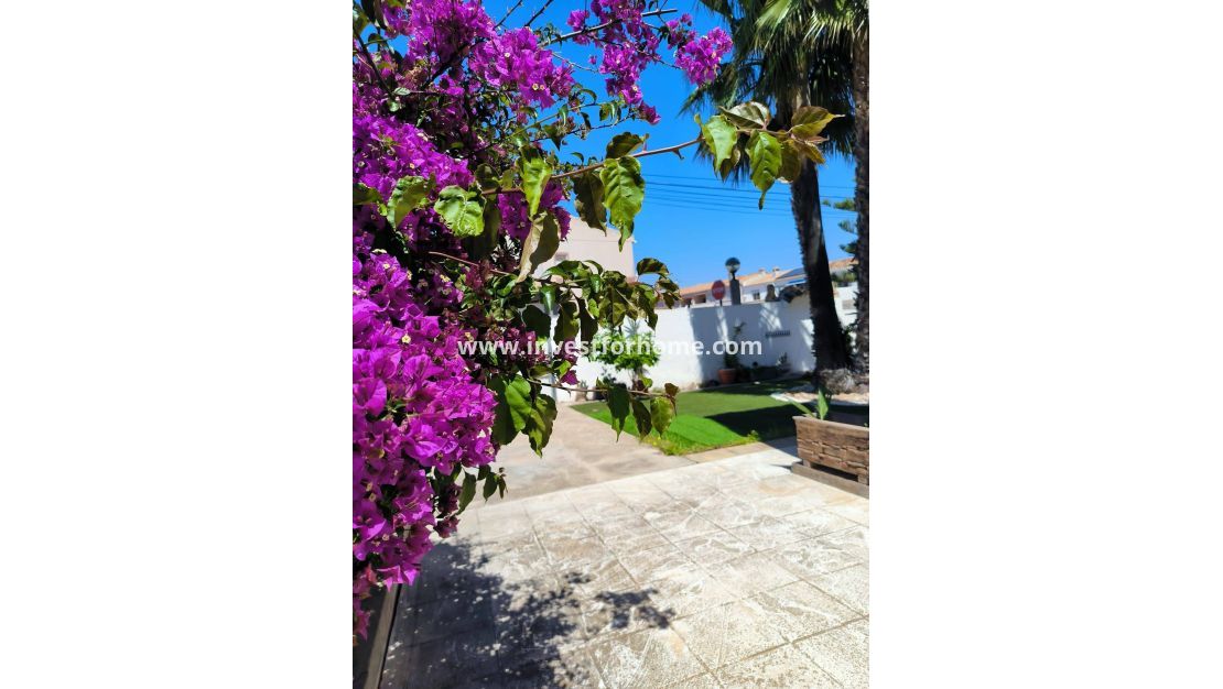 Försäljning - Hus - Orihuela Costa - Cabo Roig