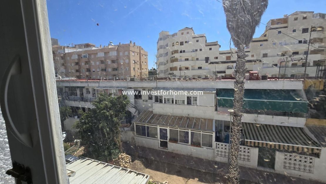 Försäljning - Hus - Torrevieja - Estacion De Autobuses