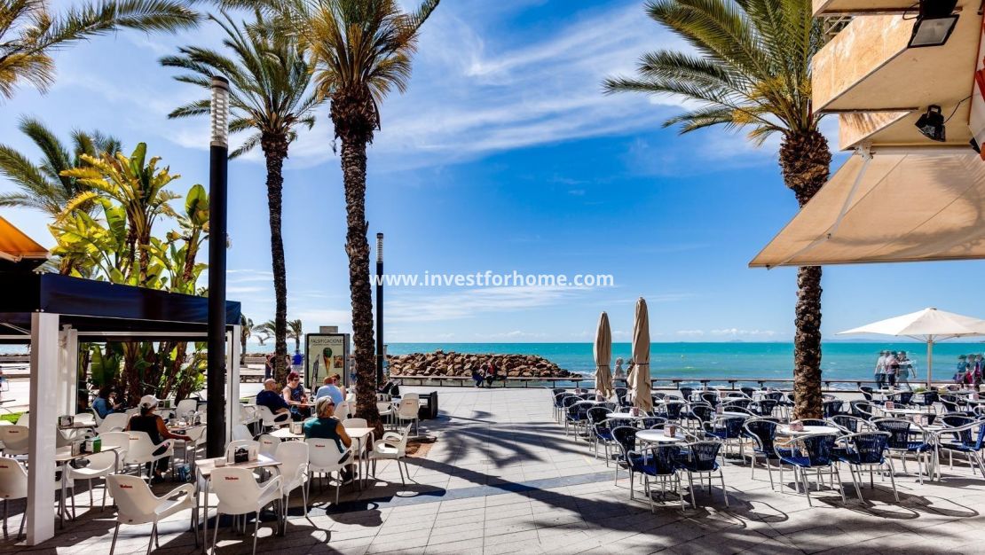 Försäljning - Hus - Torrevieja - La Siesta-El Chaparral