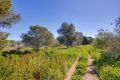 Försäljning - Hus - Torrevieja - La Siesta - El Salado - Torreta