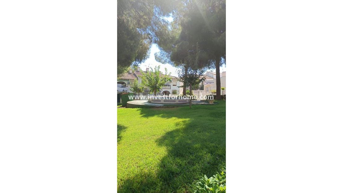 Försäljning - Hus - Torrevieja - Los Balcones