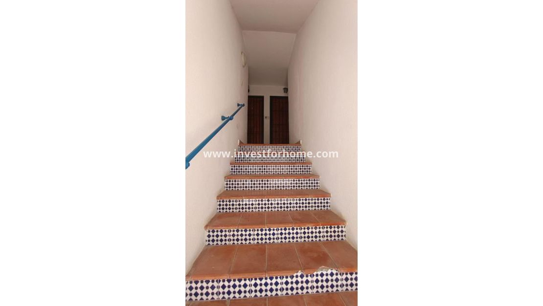 Försäljning - Hus - Torrevieja - Los Balcones