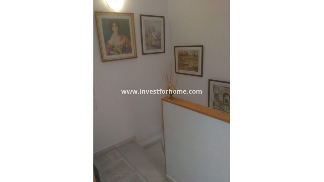 Försäljning - Hus - Torrevieja - Los Europeos