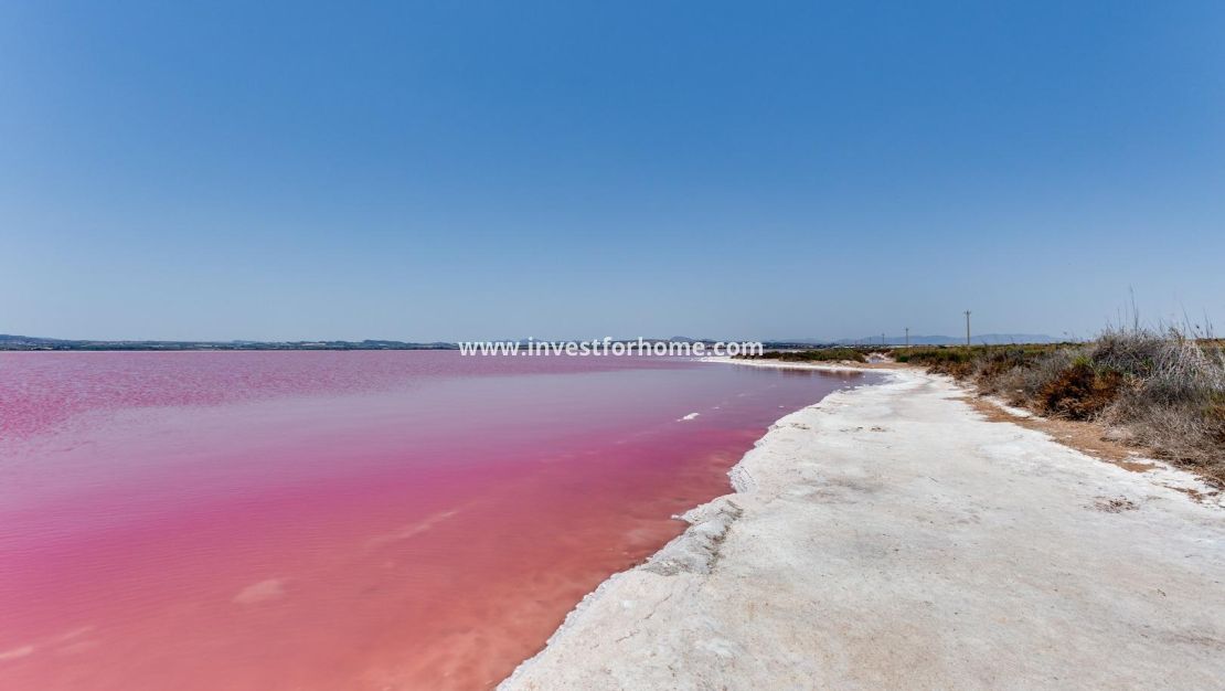 Försäljning - Hus - Torrevieja - Paraje Natural