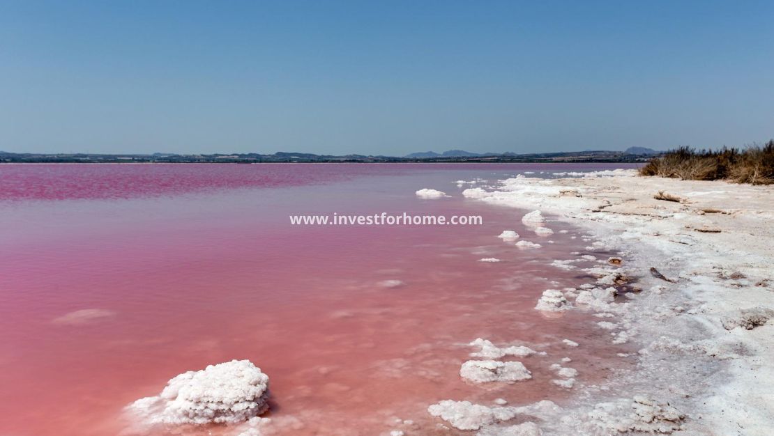 Försäljning - Hus - Torrevieja - Paraje Natural