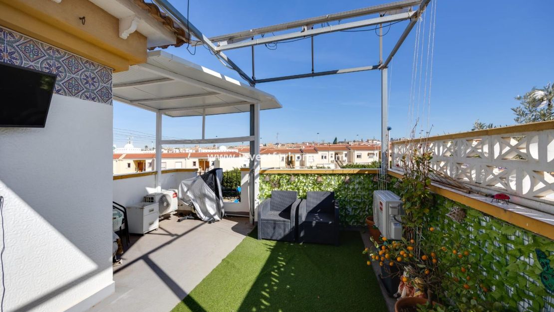 Försäljning - Hus - Torrevieja - Parque Las Naciones