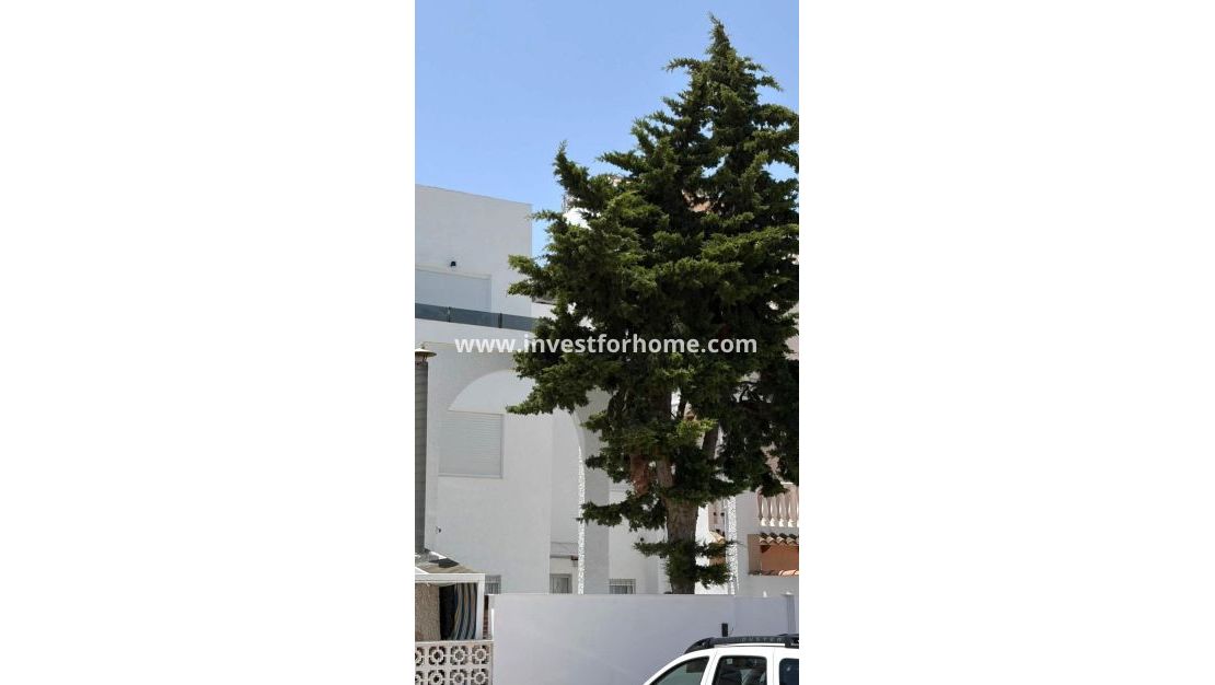 Försäljning - Hus - Torrevieja - Playa de los Locos