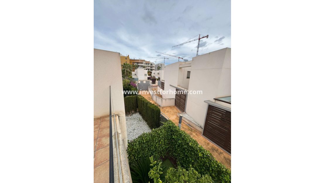 Försäljning - Hus - Torrevieja - Punta prima
