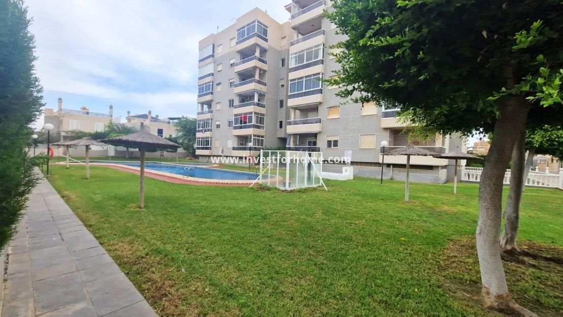 Försäljning - Hus - Torrevieja - Torrelamata - La Mata