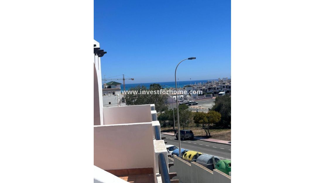 Försäljning - Hus - Torrevieja - Torrelamata - La Mata