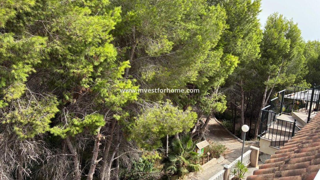 Försäljning - Lägenhet - Algorfa - Costa Blanca