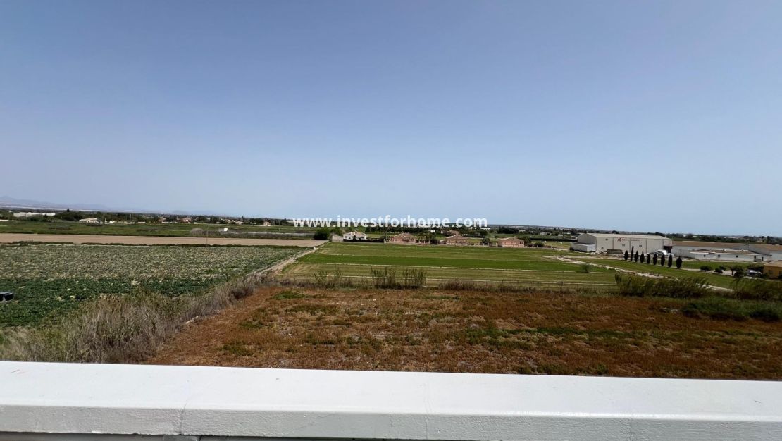 Försäljning - Lägenhet - Dolores - Comunidad Valenciana