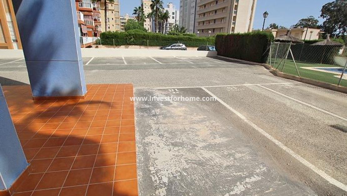 Försäljning - Lägenhet - Guardamar del Segura - Avenida del Puerto