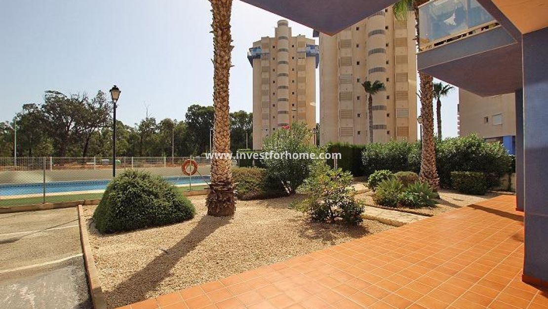 Försäljning - Lägenhet - Guardamar del Segura - Avenida del Puerto