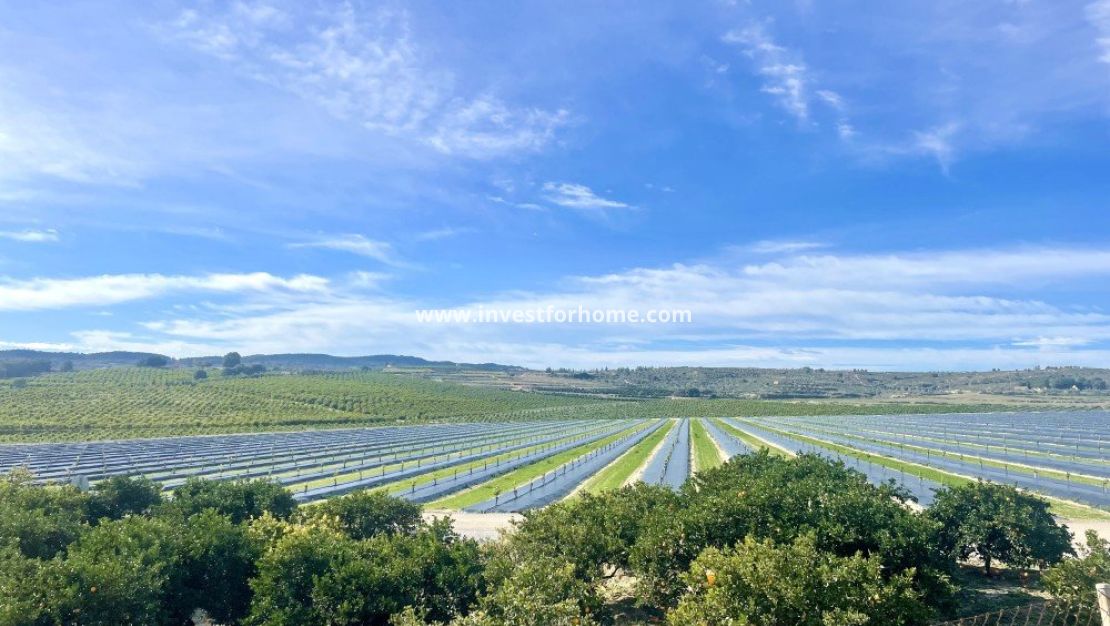 Försäljning - Lägenhet - Orihuela Costa - Costa Blanca